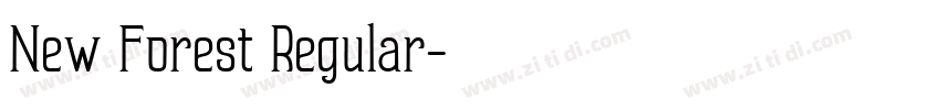 New Forest Regular字体转换